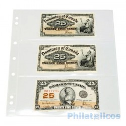 Hojas para billetes Leuchtturm NUMIS 3C transparentes (10 unds.)