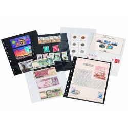 Hojas GRANDE 6S para sobres y tarjetas postales (5 unds.)